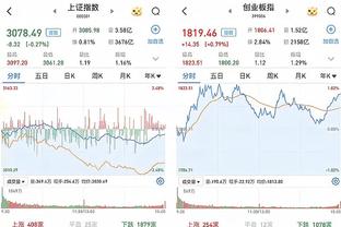 记者：萨利哈米季奇的遣散费为600万到800万欧元