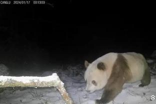 澎湃：男足亚运队暴露出的问题值得反思，替补和主力间的差距明显